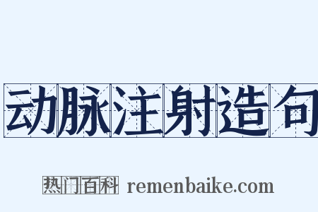 动脉注射造句是什么意思的图片